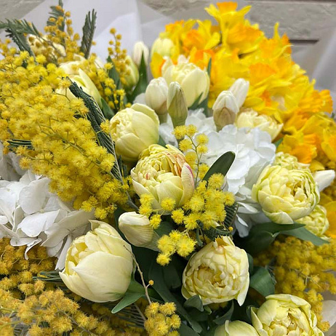 Нарциссы, мимозы и тюльпаны