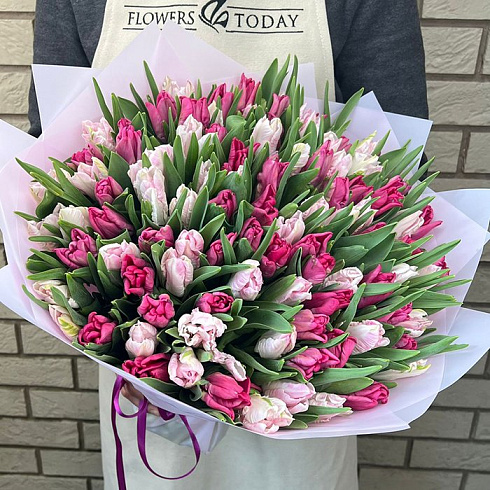 Тюльпаны микс