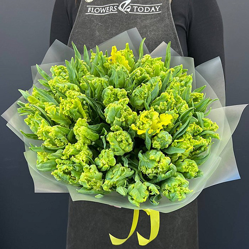 Пионовидные желтые тюльпаны