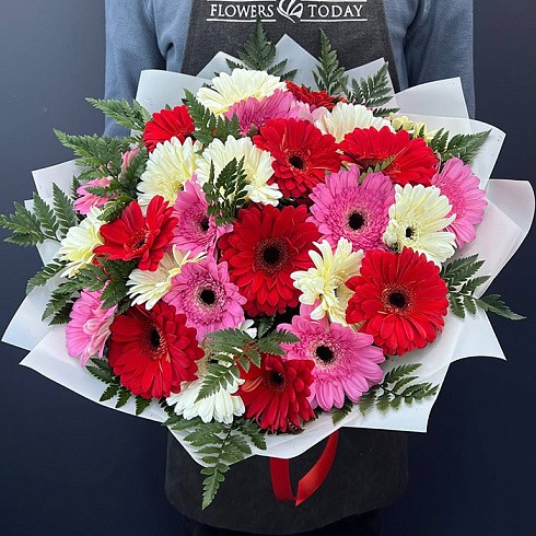 Герберы розовые, красные и белые
