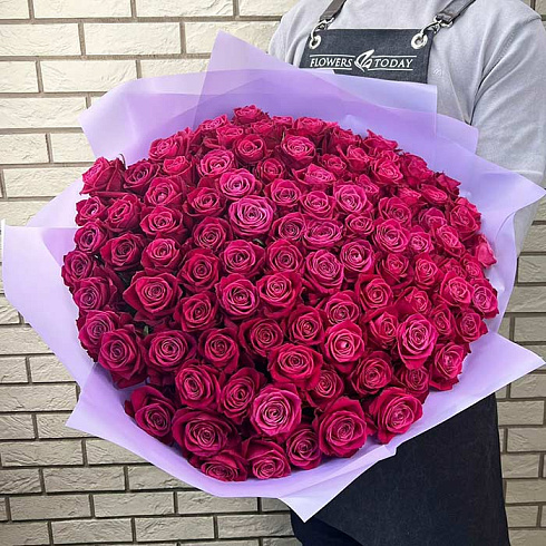 101 роза цвета фуксия, 60см