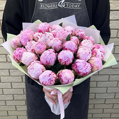 29 розовых пионов