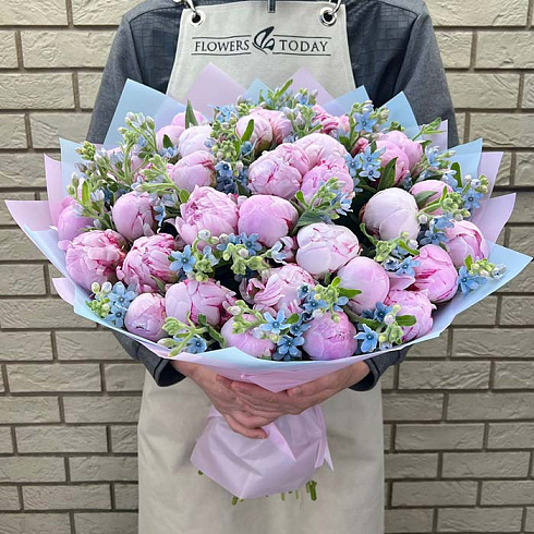 Розовые пионы и оксипеталум