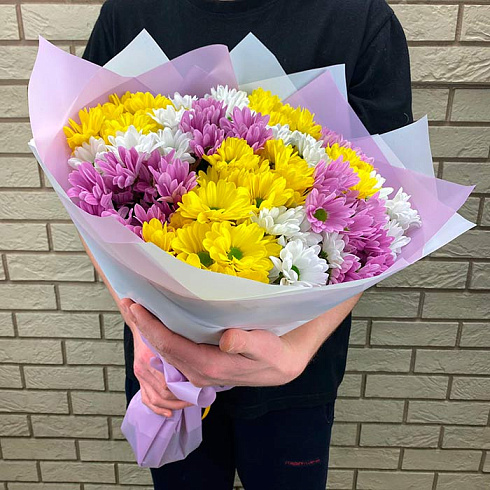 15 кустовых хризантем микс