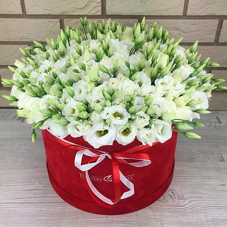 Эустомы в красной коробке