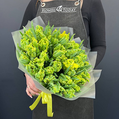 Пионовидные желтые тюльпаны