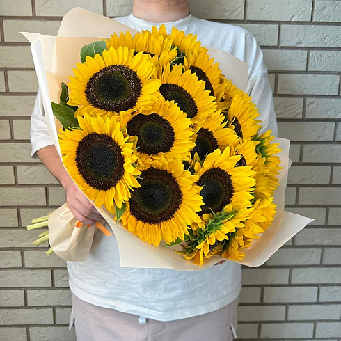 19 подсолнухов
