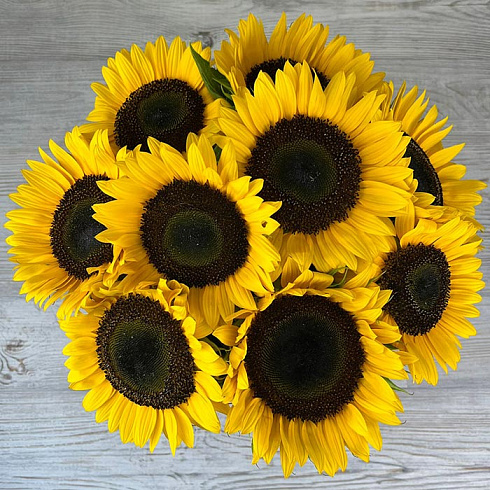 Подсолнухи в бархатной коробке