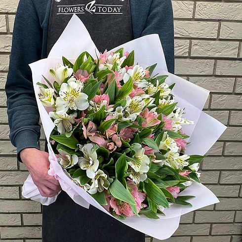 Нежной розовые и белые альстромерии