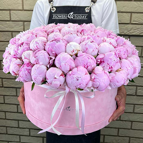 101 пион в коробке