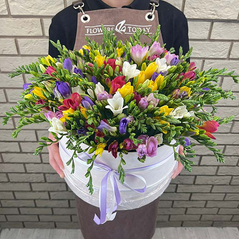 Фрезии микс в коробке