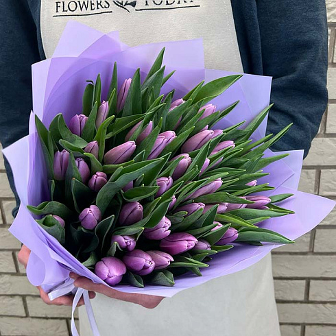 Фиолетовые тюльпаны