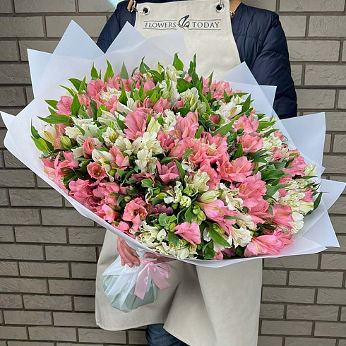 Белые и розовые альстромерии