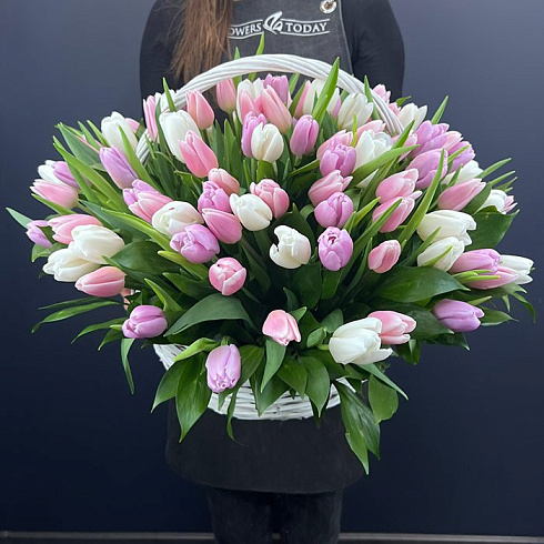 101 тюльпан микс в корзине