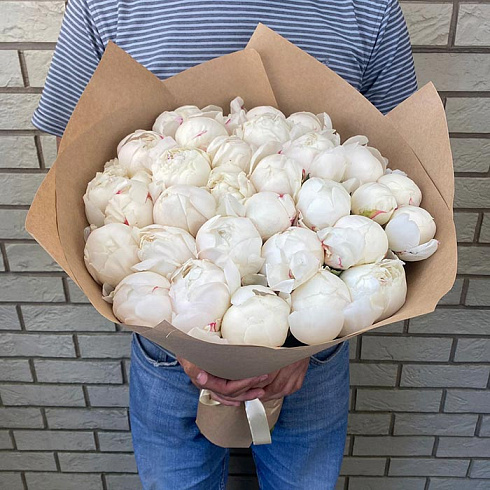 Белые пионы