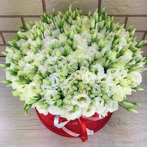 Эустомы в красной коробке