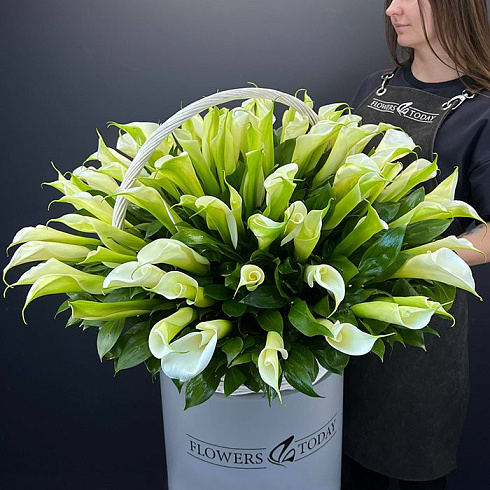 101 белая калла в корзине