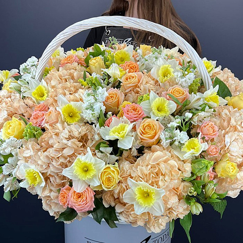 Нарциссы, гортензии, розы и альстромерии