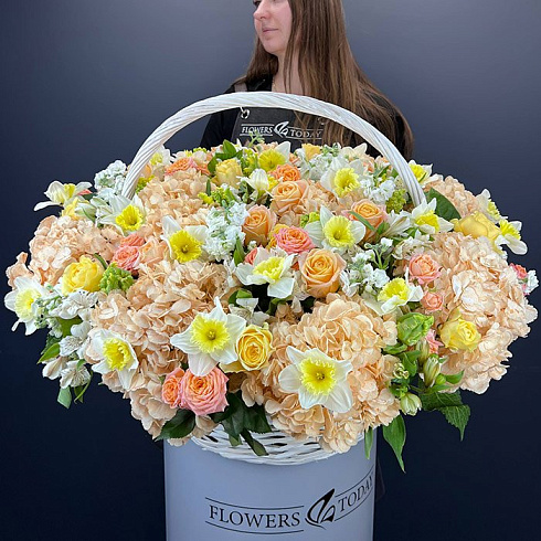 Нарциссы, гортензии, розы и альстромерии