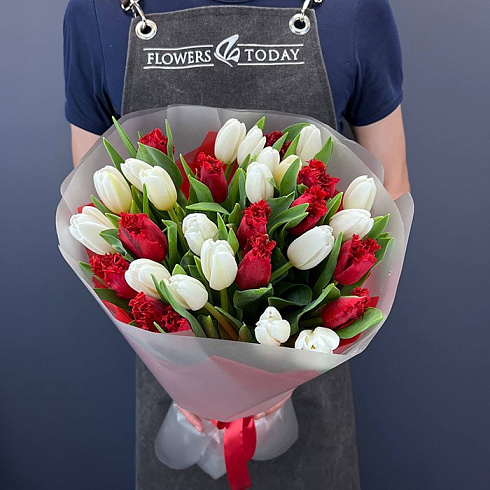 Красные и белые тюльпаны