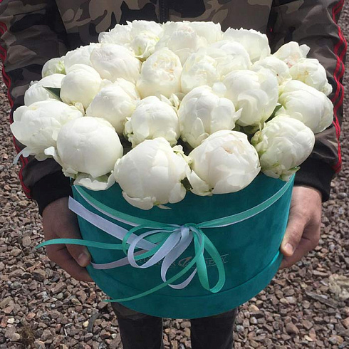 Белые пионы в бархатной коробке