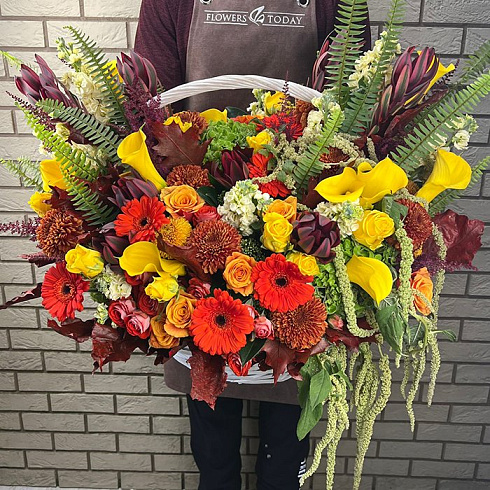 Каллы, герберы, розы и экзотика