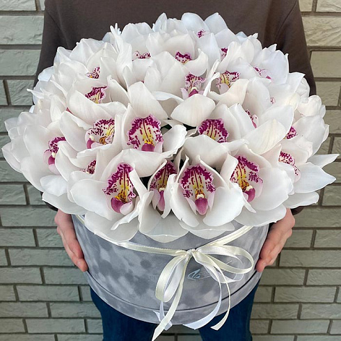 Орхидеи белые в бархатной коробке