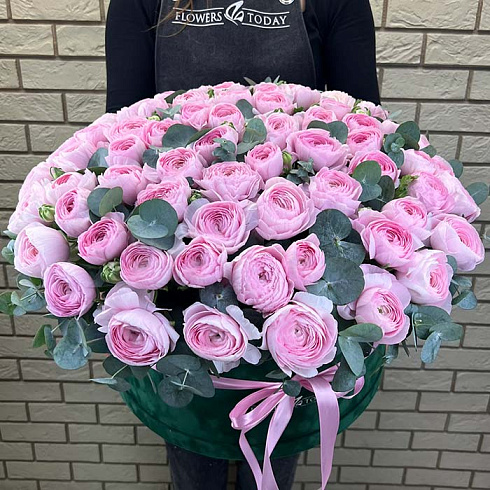 Розовые ранункулюсы в большой коробке
