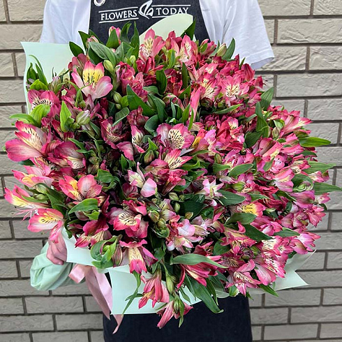 Розовые альстромерии