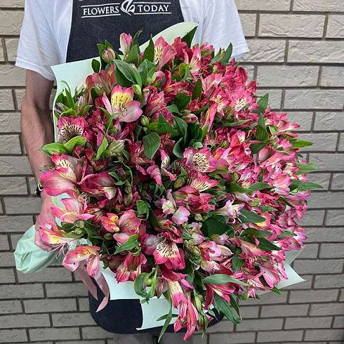 Розовые альстромерии