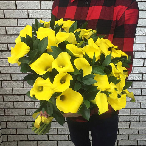 Желтые каллы