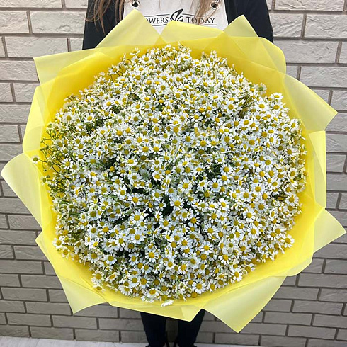 Ромашки кустовые в дизайнерской упаковке