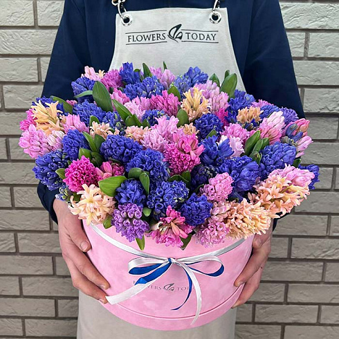 101 гиацинт в коробке