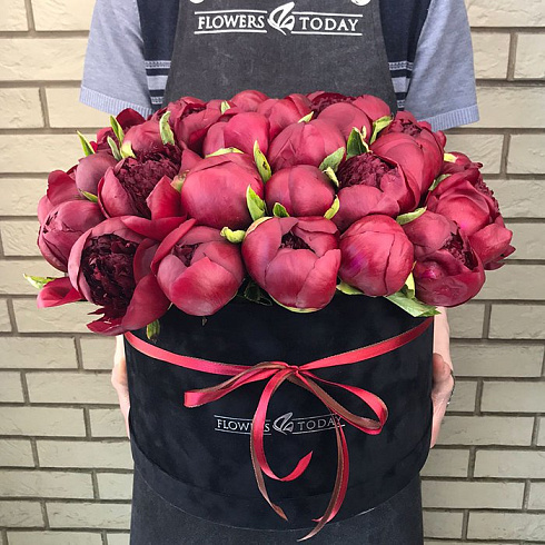 39 красных пионов в черной бархатной коробке