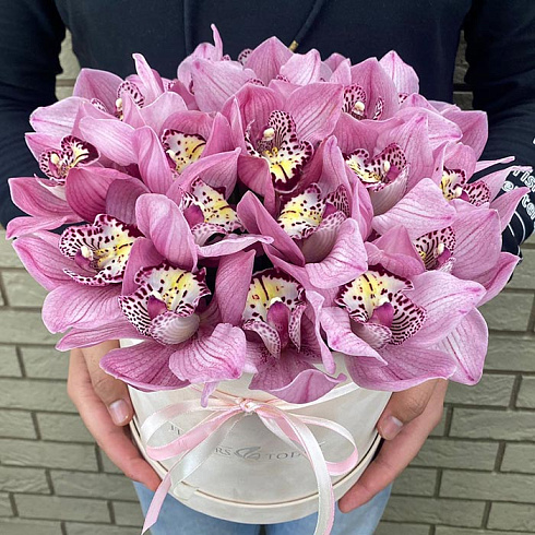 Розовые орхидеи в бархатной коробке