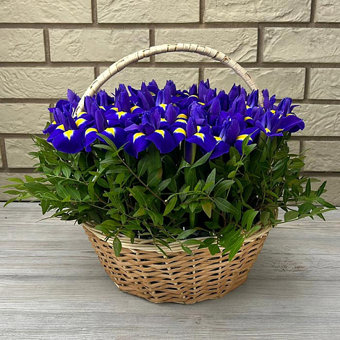 Ирисы и зелень в корзине