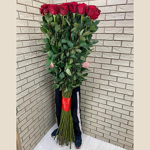 Высокие розы