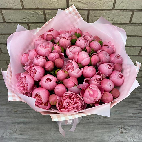 Нежные розовые пионы