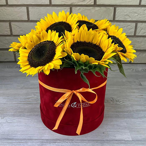 Подсолнухи в бархатной коробке