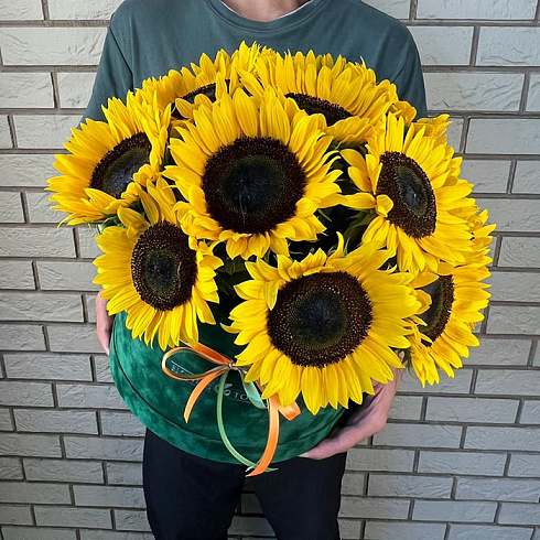 Подсолнухи в коробке