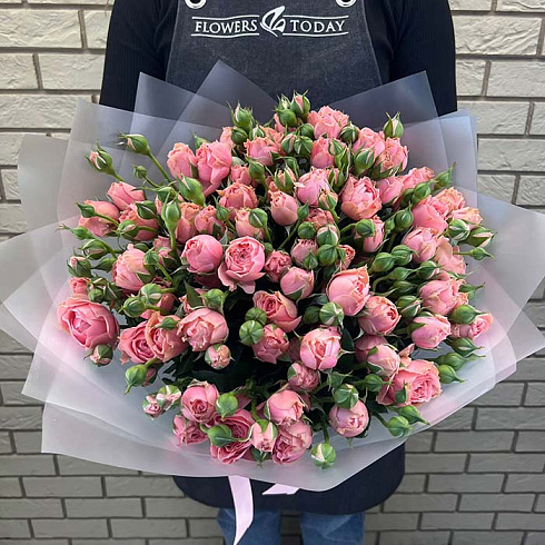 Кустовые пионовидные розовые розы