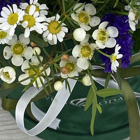 Ромашки, статица и ваксфлор в коробке