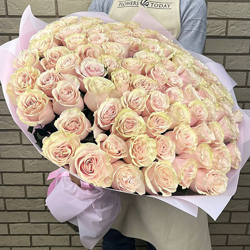 101 крупная кремовая роза