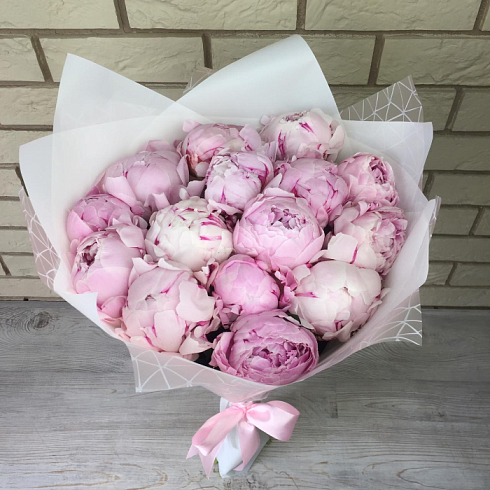 15 розовых пионов