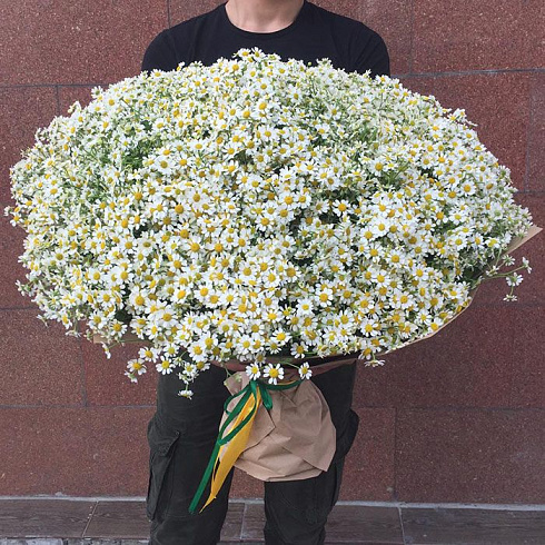 201 ромашка в крафте