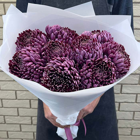 Крупные хризантемы