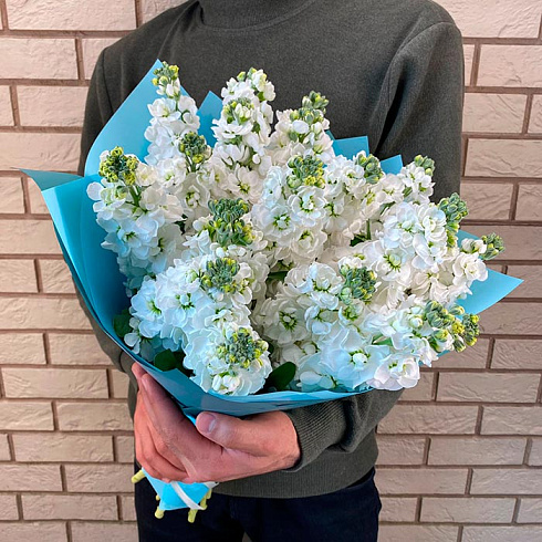 19 маттиол в упаковке с атласной лентой