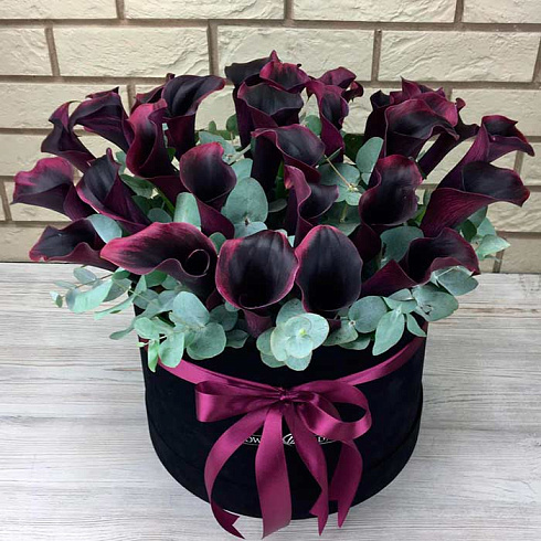 31 калла в бархатной коробке