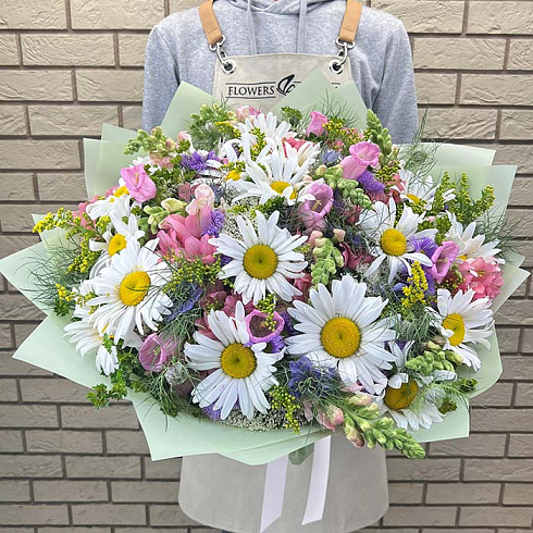 Полевые цветы из ромашек, астр и кампанул