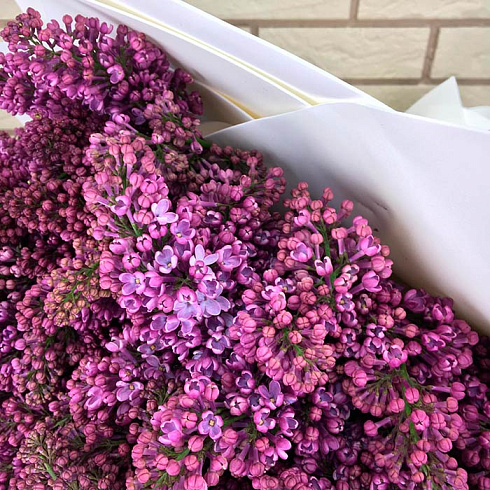 Большой букет сирени